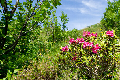 bregenzerwald_card-7